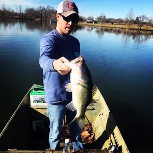 Meet your Posher, Phillip